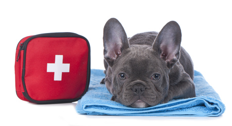 Fichier des VETERINAIRES - région AQUITAINE