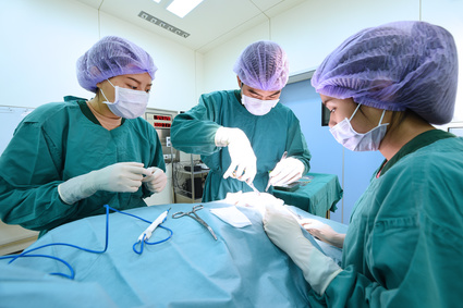 Fichier des vétérinaires  - région BOURGOGNE - FRANCHE COMTE