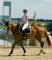 CHAMPAGNE-ARDENNE - Centres Equestres, élevages de chevaux