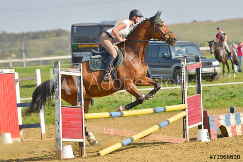- FRANCE - Centres Equestres, élevages de chevaux de France