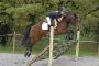 PAYS DE LOIRE. - Centres Equestres, élevages de chevaux