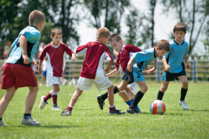 Bases de donnes des associations sportives