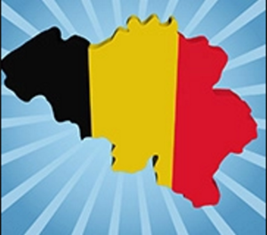 Bases de données des entreprises belges